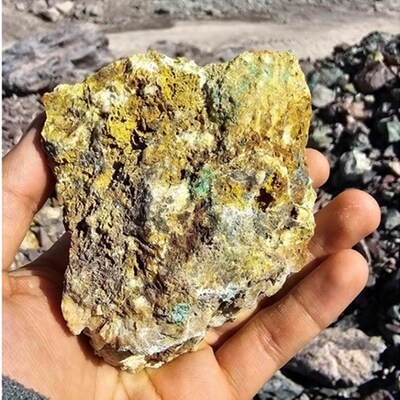 Figure 1) Oxide copper/limonite/Malachite from Calabozo Prospect (sample no. 20011502) Returned 681 g/t Ag and 0.68% Cu, 0.43g/t Au (11/20/2025)