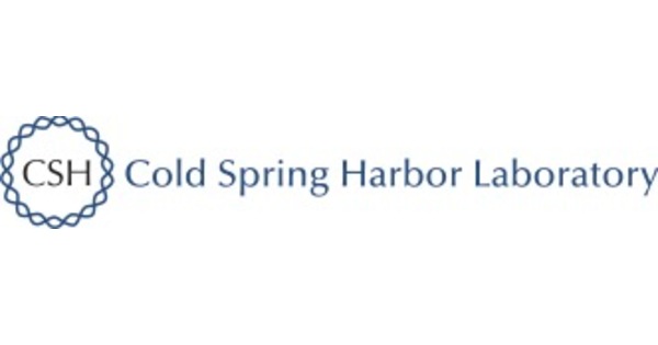 Cold Spring Harbor Laboratory Researchers Find New Way to Slow Memory Loss in Alzheimers Cold Spring Harbor Laboratory Researchers Find New Way to Slow Memory Loss in Alzheimers