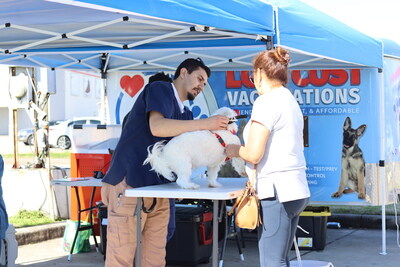 Low Cost Pet Vax offers friendly, affordable pet vaccinations and other preventative healthcare across Texas