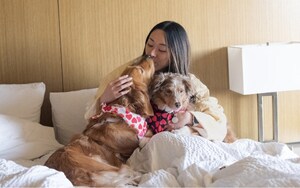 PETS STAY FREE ALL YEAR AT STAYPINEAPPLE HOTELS WITH PINEAPPLE PUP PLUS ONE OFFER