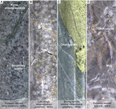 Figure 4. Mineralization and hydrothermal alteration observed in holes MD-053 (see A and B) and MD-054 (see C and D). A). Quartzdiorite porphyry with potassic alteration defined by secondary biotite being locally overprinted by chlorite. B). Strong chlorite-epidote altered late-stage mineralization porphyry. C). Strong sericite-altered Intramineral porphyry with massive chalcopyrite. D. Breccia with strong potassic alteration (K-spar) and veinlets of molybdenite (moly) and chalcopyrite. (CNW Group/COPPER GIANT RESOURCES CORP.)