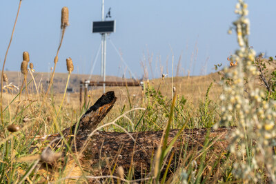 MT1 MRV equipment installed above the biomass burial chamber. Photo taken: Aug 2025
