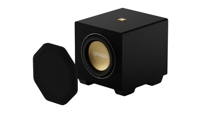 2 Nakamichi DRAGON 12" Subwoofer