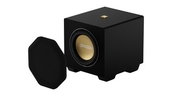 2 Nakamichi DRAGON 12" Subwoofer