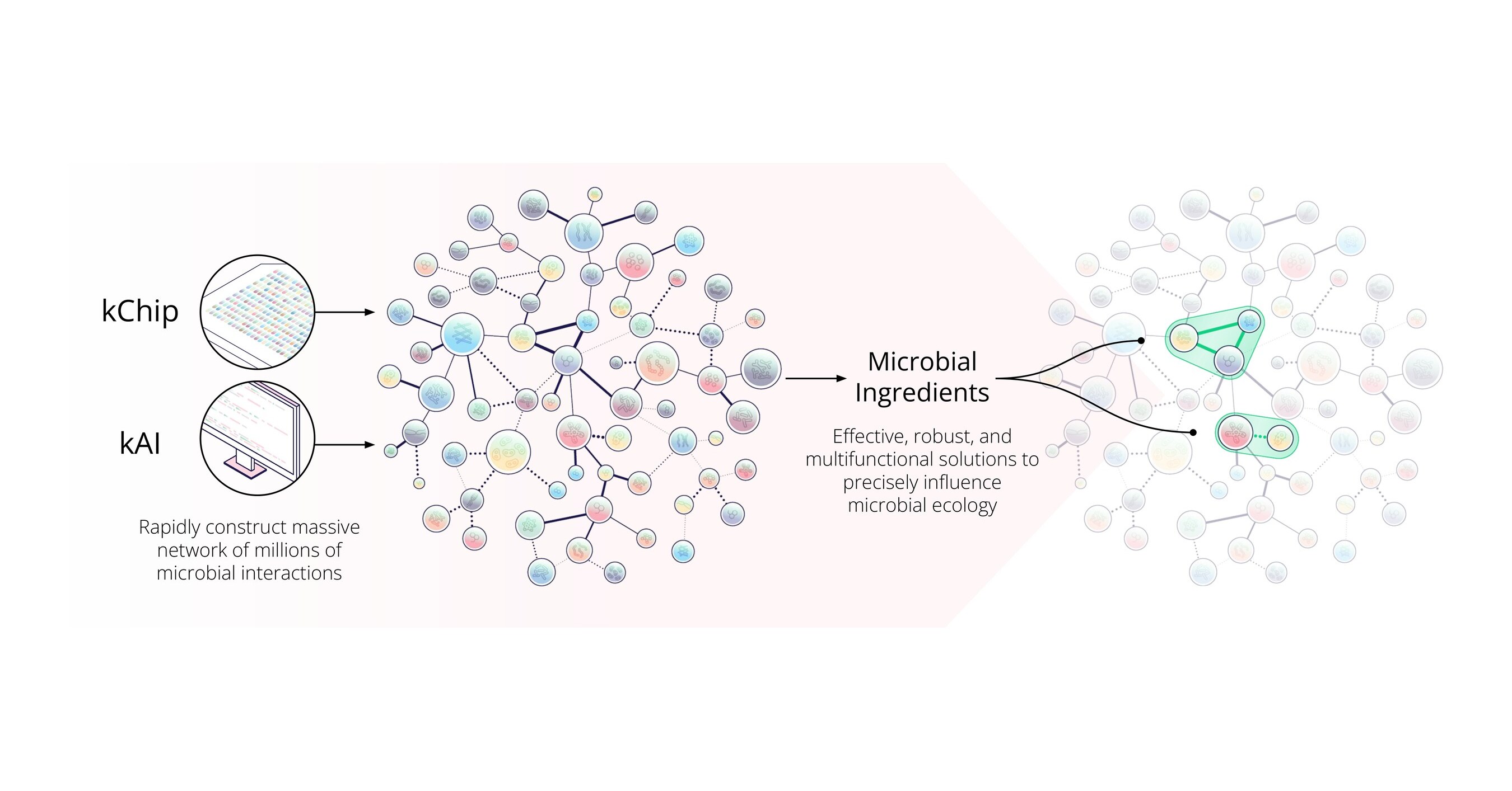 Concerto Biosciences Signs Development and Commercialization Agreement with Sacco System to Advance Next-Generation Microbial Ingredient Discovery