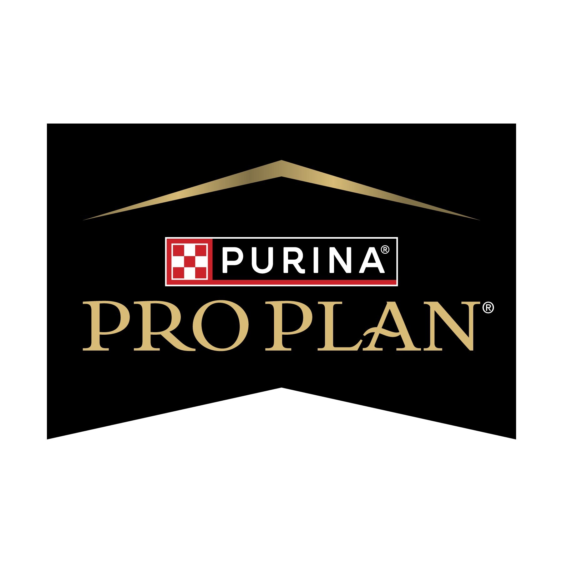 Purina Pro Plan-Fueled Westminster Best in Show Champions: Where Are They Now?