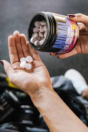 ANIMAL on the Training and Performance Trends Shaping 2026