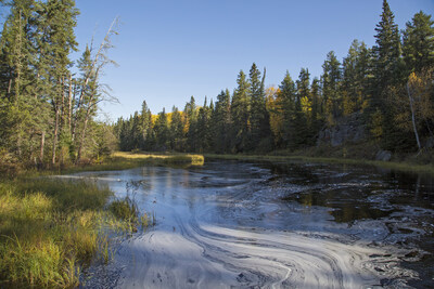An astonishing volume of water is naturally filtered in the boreal. (CNW Group/Ducks Unlimited Canada)