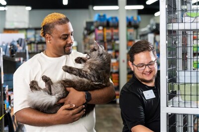 Cat adoption in Pet Supermarket store