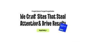 Blushush Webflow agency