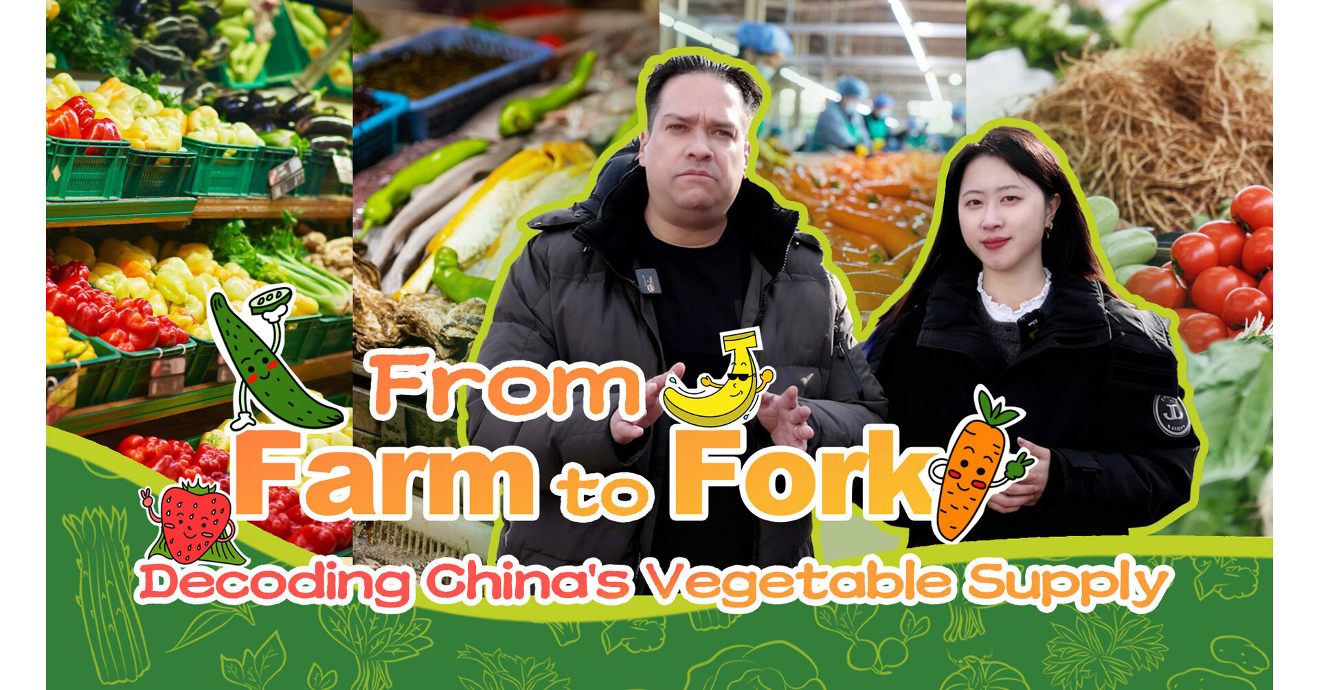 From Farm to Fork: Decoding Chinas Vegetable Supply