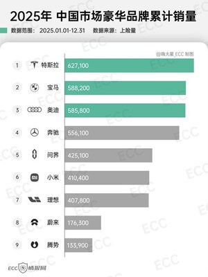 2025中國市場豪華品牌銷量