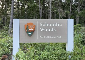 Federal Government Actions Affected One in Six Campers in 2025