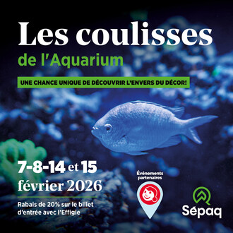 Les 7, 8, 14 et 15 février 2026, vous aurez la chance unique de visiter les coulisses de l’Aquarium. (Groupe CNW/Société des établissements de plein air du Québec)