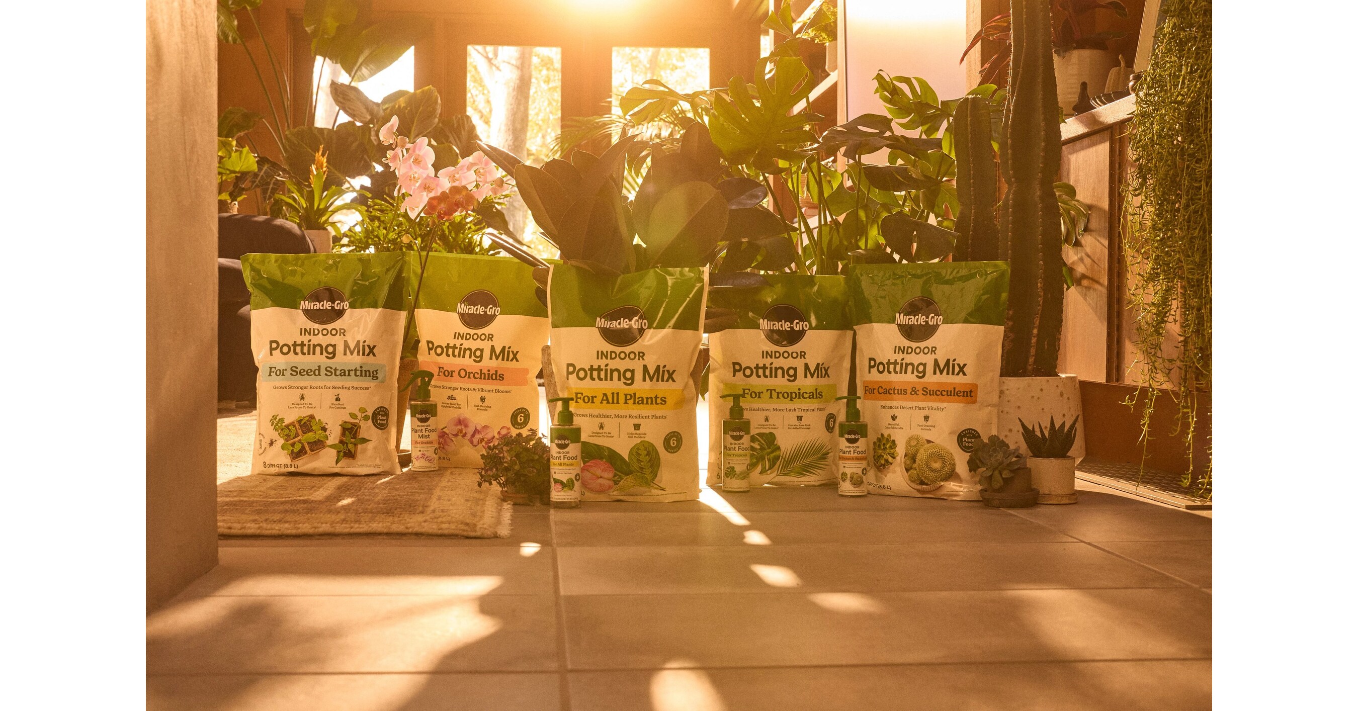 Miracle-Gro Deepens Its Indoor Gardening Roots with a Refreshed Portfolio