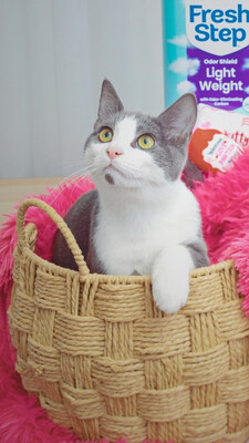 Fresh Step and Ariana Madix Help Singles “Date Cats, Not Humans” This Valentine’s Day with First-Ever Bumble Cat Adoption Takeover