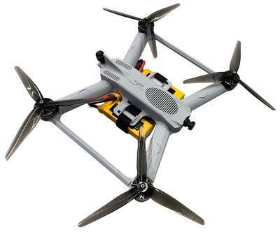 Agilis Remora Agilis Remora