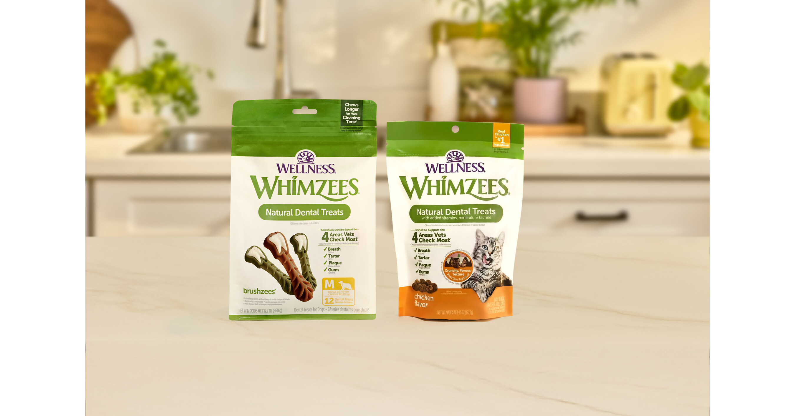 Wellness Pet Company Teams Up with Veterinarians to Tackle One of the Most Overlooked Pet Health Issues