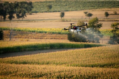XAG P150 Max Agricultural Drone delivers precision spraying across cornfields.