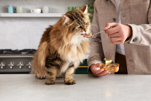 Jinx Expands to Cat Food, Partners with Tinx to Celebrate Cat Ownership as the Ultimate Dating Green Flag