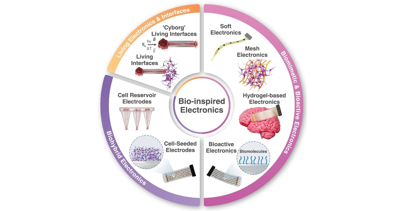INU Researchers Present Roadmap of Ultra-Thin Crystalline Silicon-Based Bioelectronics INU Researchers Present Roadmap of Ultra-Thin Crystalline Silicon-Based Bioelectronics