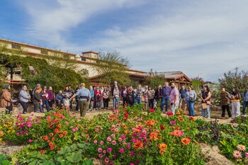 Pollinator garden tour at The HIVE in Yolo County