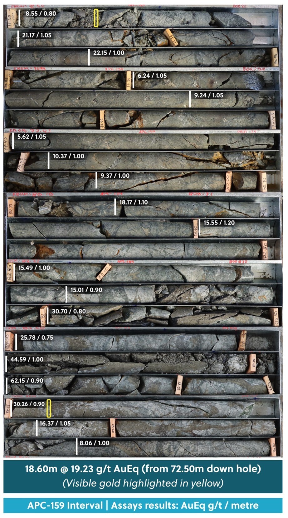 Figura 3: Foto de la bandeja de perforación que destaca una sección de alta ley del pozo APC-159 con copos de oro visibles resaltados en amarillo (CNW Group/Collective Mining Ltd.)