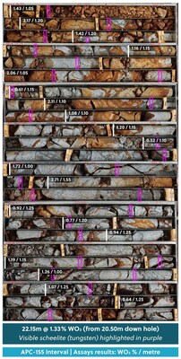 Figure 4: Drill Core Tray Photo Highlighting a Tungsten High-Grade Section of Drill Hole APC-155 with Twenty-Six Individual Visible Instances of Scheelite Highlighted in Purple (CNW Group/Collective Mining Ltd.) Figure 4: Drill Core Tray Photo Highlighting a Tungsten High-Grade Section of Drill Hole APC-155 with Twenty-Six Individual Visible Instances of Scheelite Highlighted in Purple (CNW Group/Collective Mining Ltd.)