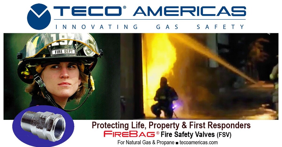 TECO® Americas Expands Southeast Distribution Network Through Strategic Partnership with Ed Young Sales Company TECO® Americas Expands Southeast Distribution Network Through Strategic Partnership with Ed Young Sales Company