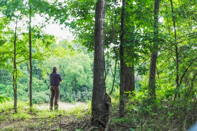 NativState Announces Verification and Release of High-Quality Carbon Credits under ACR IFM 2.1 from Two New Projects