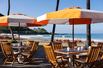 Hau Tree - Credit: Mauna Kea Beach Hotel