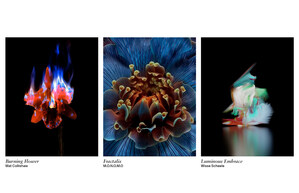 LG GALLERY+ PRESENTS DIGITAL ARTWORK FROM SEDITION, INCLUDING SELECT EXCLUSIVE PIECES