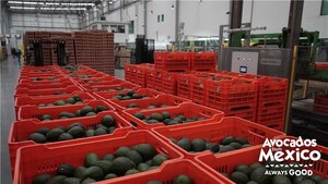 Guac Scores Biggest Big Game Yet: Avocados From Mexico® Reports Historic 300 Million Pounds of Mexican Avocado Imports for Sunday's Matchup