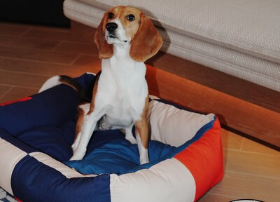 Unable to view the image, Please provide a valid URL.