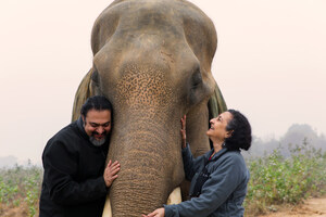 Wildlife SOS's second annual Tour for Tusks highlights the crisis facing India's elephants