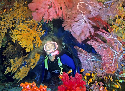 Unable to view the image, Please provide a valid URL.