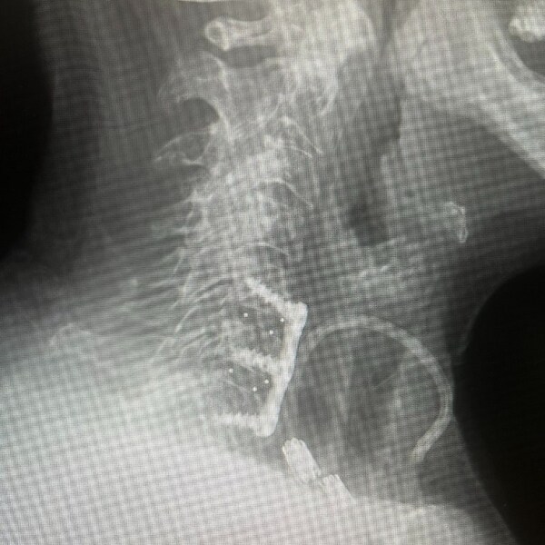 Unable to view the image, Please provide a valid URL.