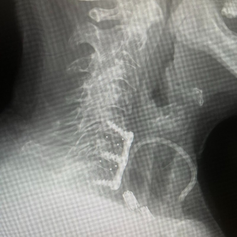 Unable to view the image, Please provide a valid URL.