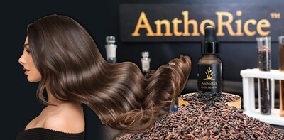 쭐랄롱꼰대학교, 모근 과학의 혁신 AnthoRice™ Complex 공개