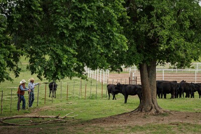 A Fresh Set of Eyes on Your Land: Noble Brings Regenerative Guidance Direct to Producers' Operations