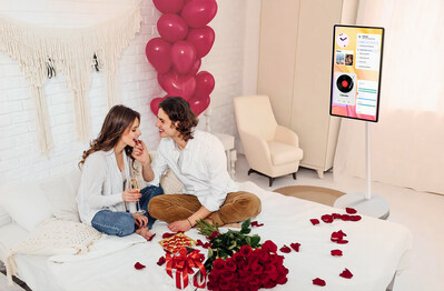 Nework MoveMate HiFi Portable TV