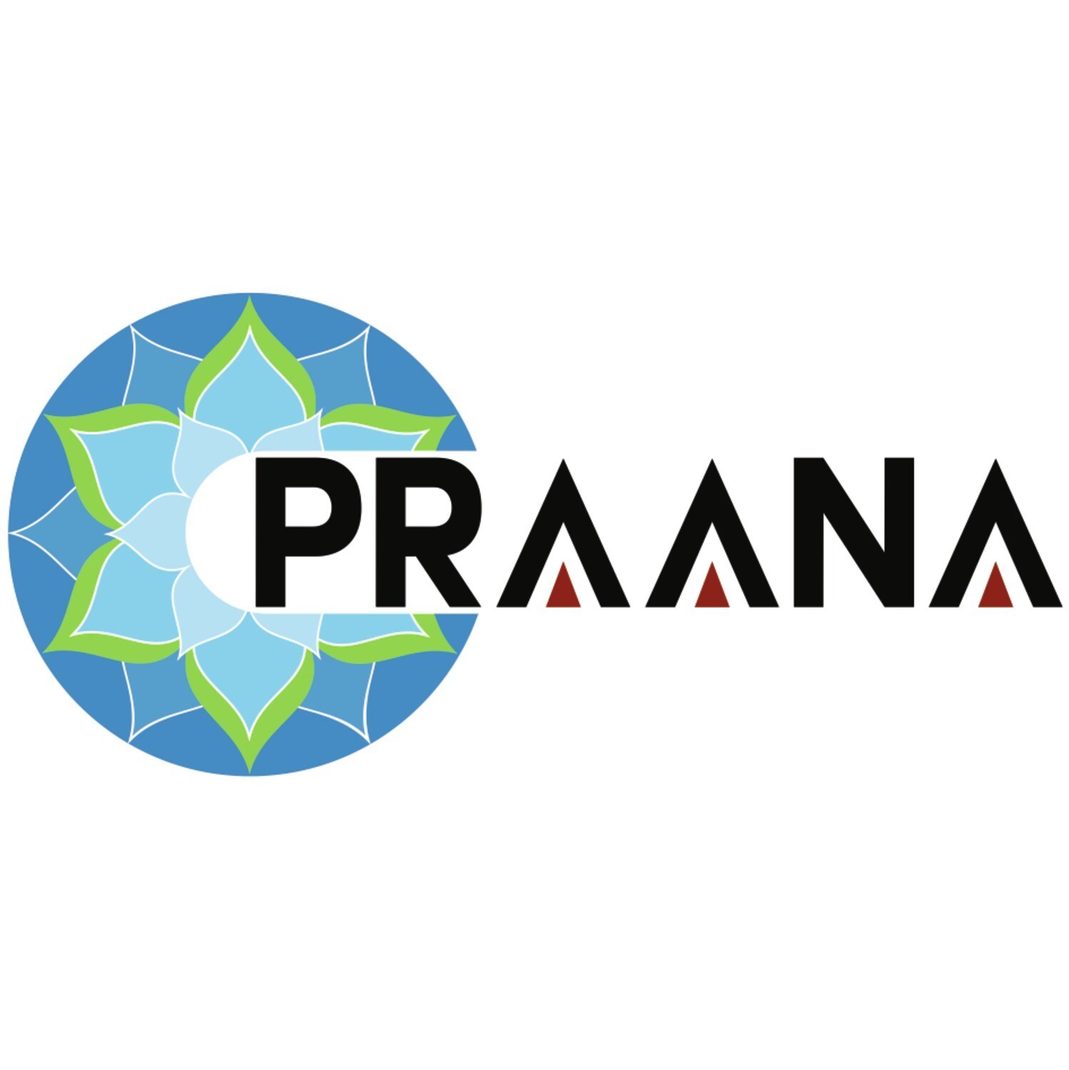 Praana Group Advances Strategic Expansion with Appointment of Darpan Parikh