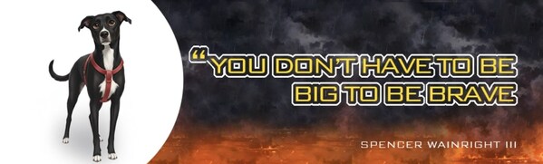 Unable to view the image, Please provide a valid URL.