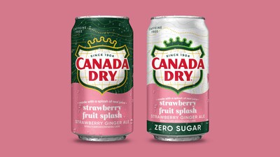 Canada Dry Fruit Splash Strawberry