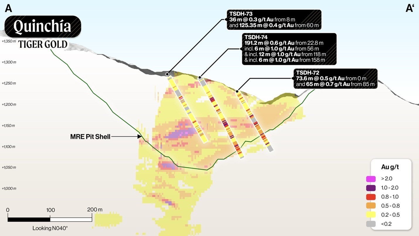 Figure 2: Tesorito Section A-A’ (looking N040°) (CNW Group/Tiger Gold Corp.) Figure 2: Tesorito Section A-A’ (looking N040°) (CNW Group/Tiger Gold Corp.)