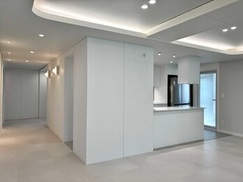 KOINTEC Premium Interior Film: CR500