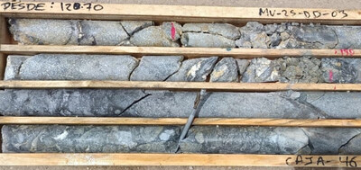 Figure 4: DD-03 Core