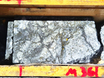 Figure 2: Hole DD-01 Hydrothermal Breccia Photos
