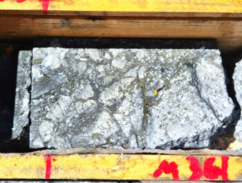 Figure 2: Hole DD-01 Hydrothermal Breccia Photos
