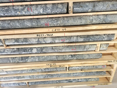 Figure 2: Hole DD-01 Hydrothermal Breccia Photos